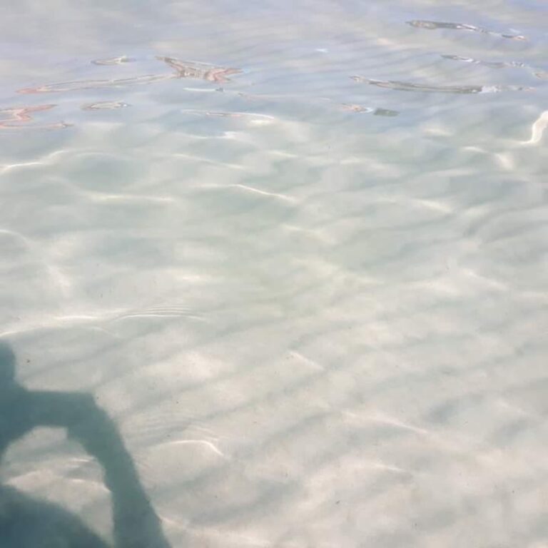 FB_IMG_1607209592584