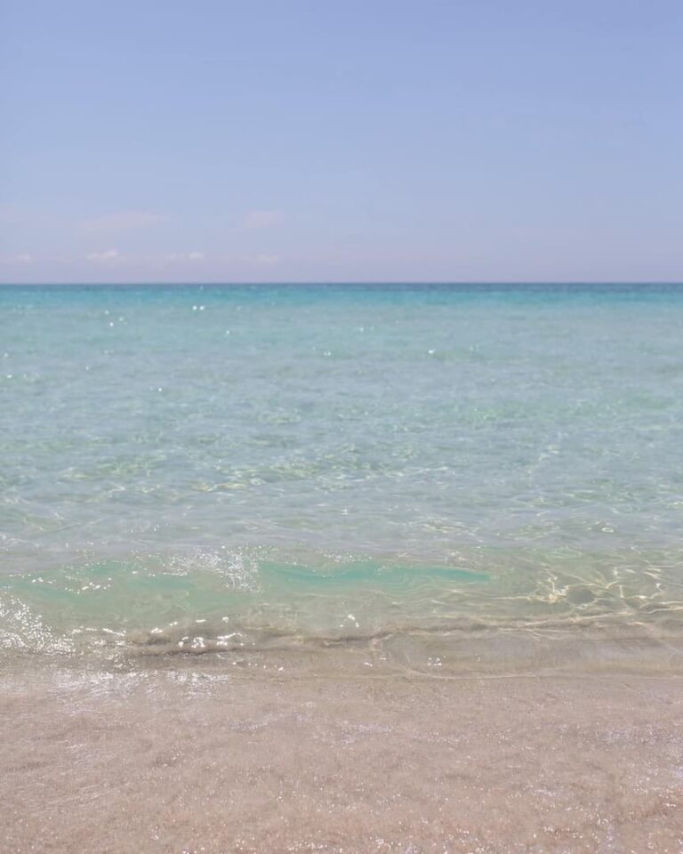 FB_IMG_1756924253506